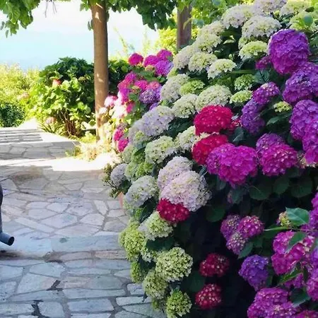 Holiday home Sea & Mountain Pelion Mouresi